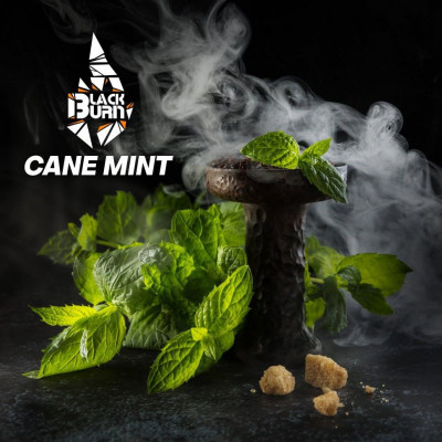 Табак для кальяна Black Burn cane mint